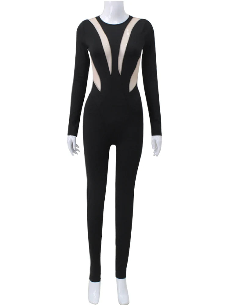 Black  Mesh Long Sleeve Catsuit Bodysuit – Sheer Detail Bodycon Jumpsuit for Party - Ra The Boutique - 